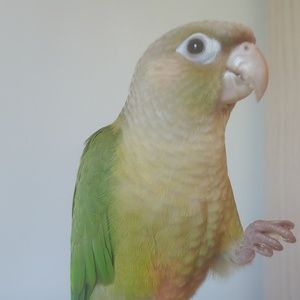 Meet your Posher, Dana